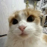 qweqwwe