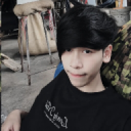 zingvy