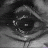 IlyCryptic